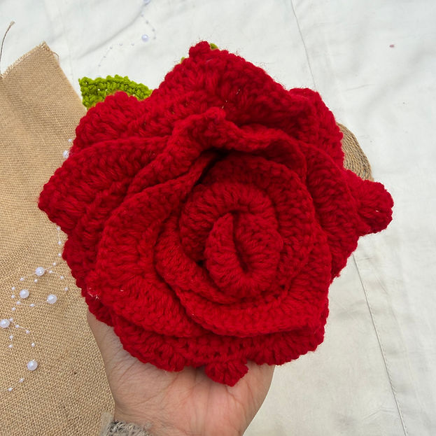 XL Rose