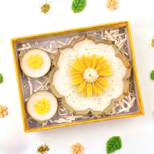 Daisy candle combo