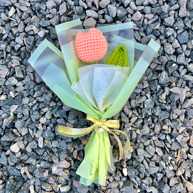 Pastel Tulip