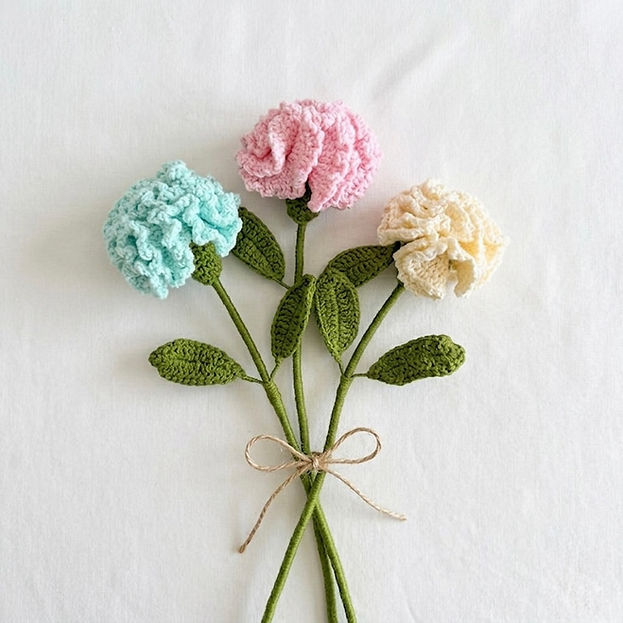 Carnation