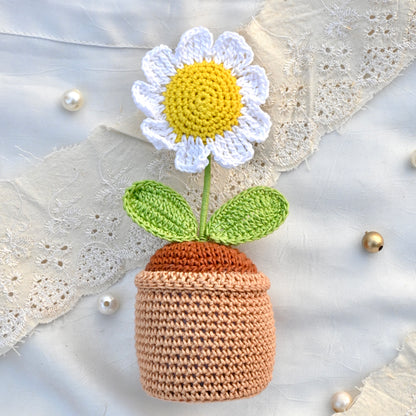 Mini Daisy Pot