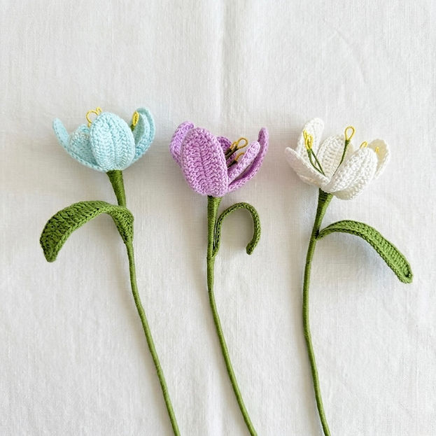Open Tulip