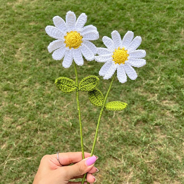 Daisy