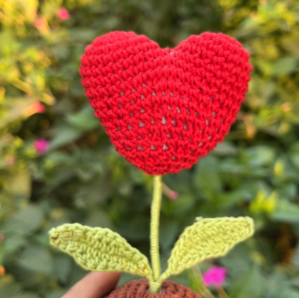 Heart Pot 5