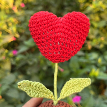Heart Pot 5