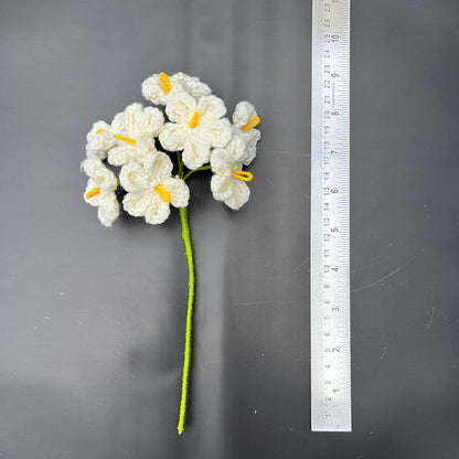 Forget me not