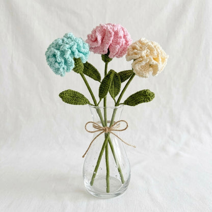 Carnation
