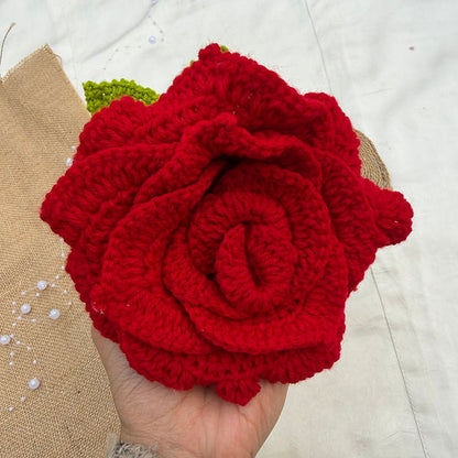 XL Rose