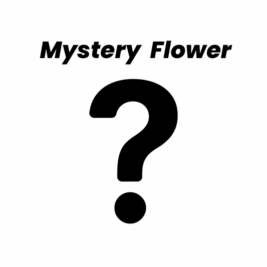 Mystery Flower