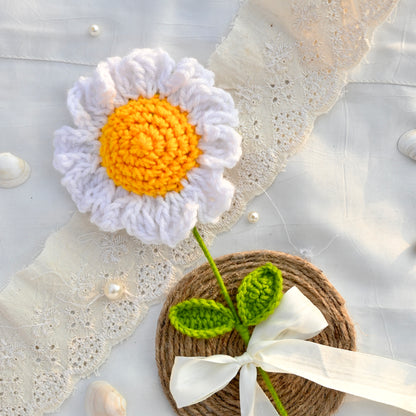 Daisy