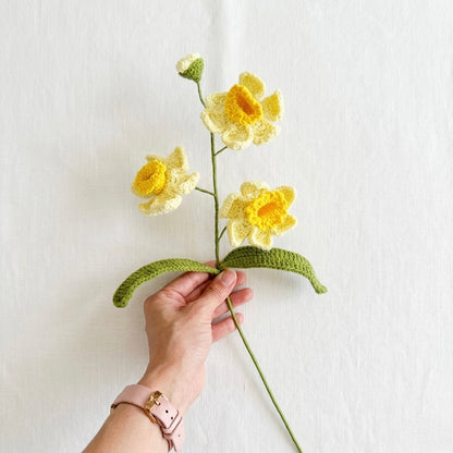 Daffodil Flower 2