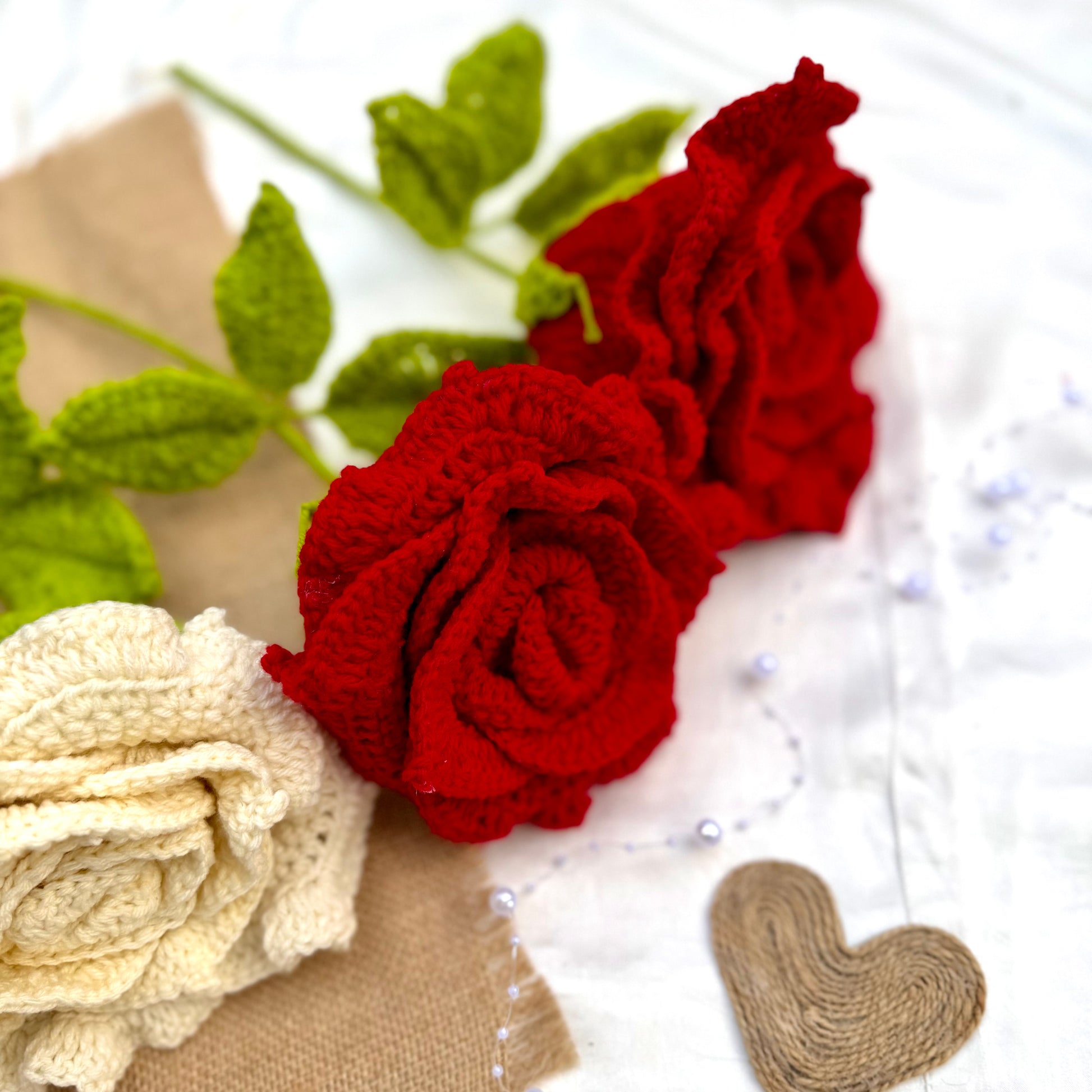 XL Rose