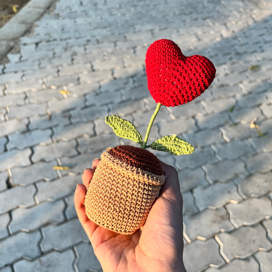 Heart Pot 2