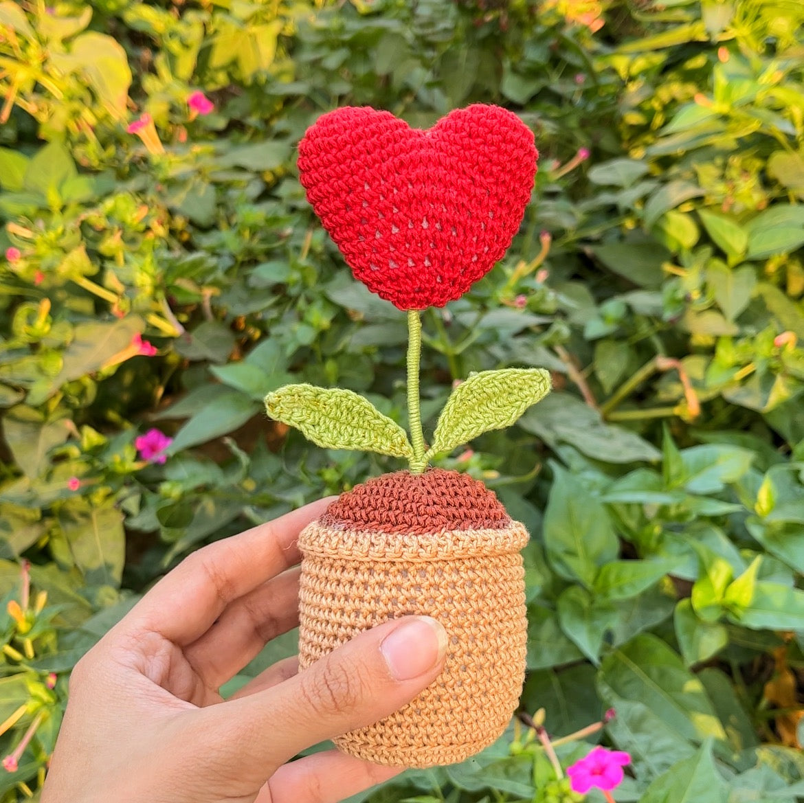 Heart Pot 4