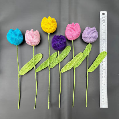 Cotton Tulip
