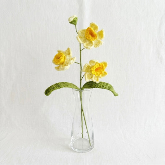 Daffodil Flower