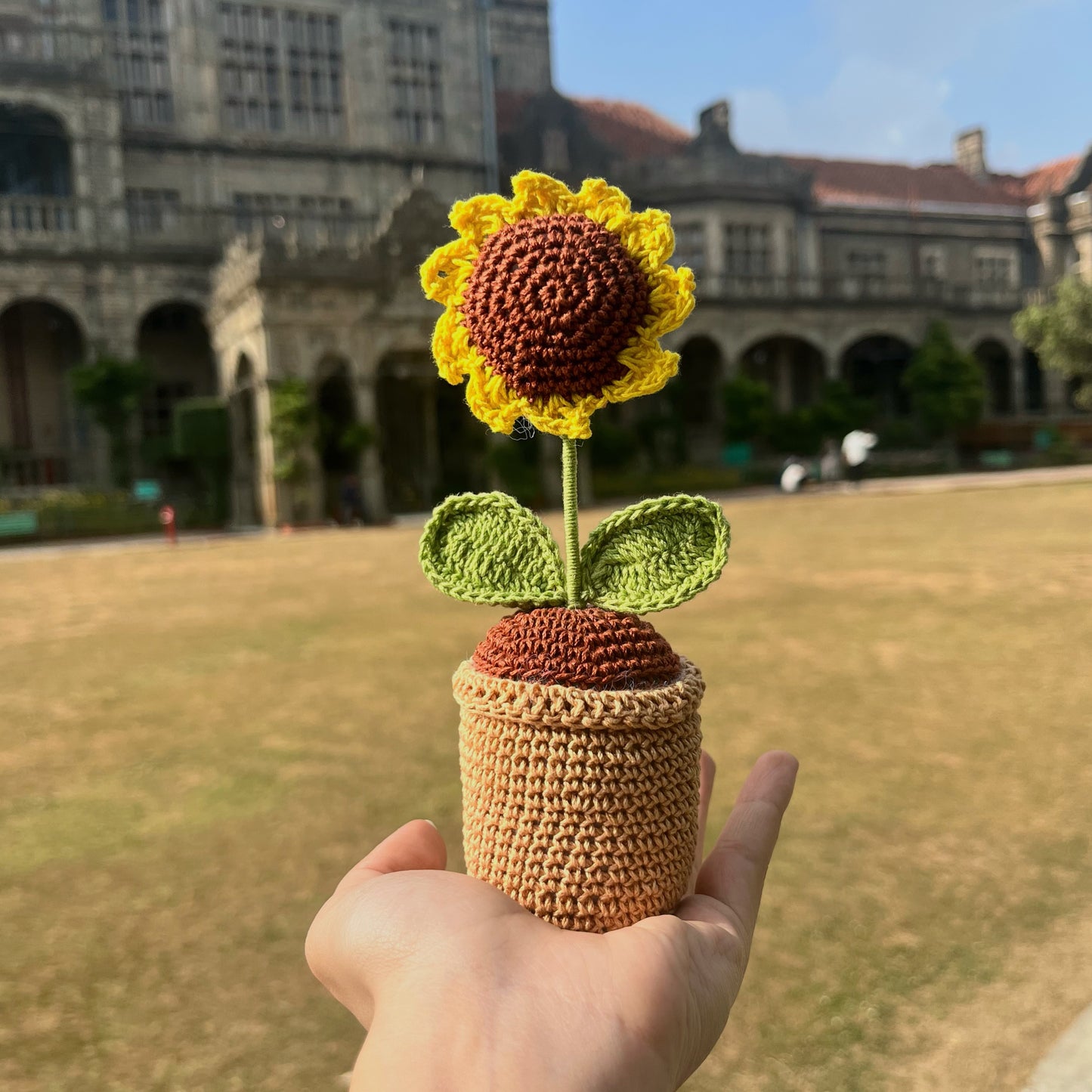 Mini Sunflower Pot 2