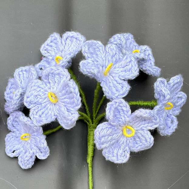 Forget me not