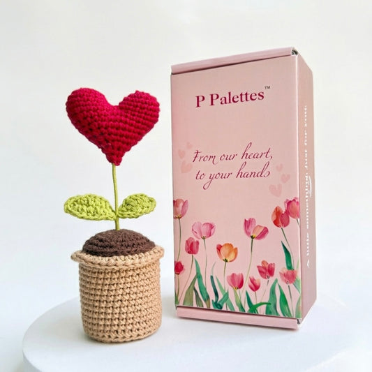 Heart Pot (With gift box)