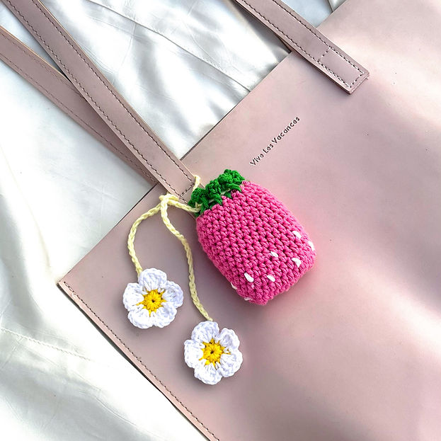 Ear pod pouch